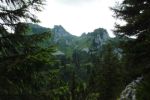2014-07-05_Laengental-N-Hochweg (578). JPG